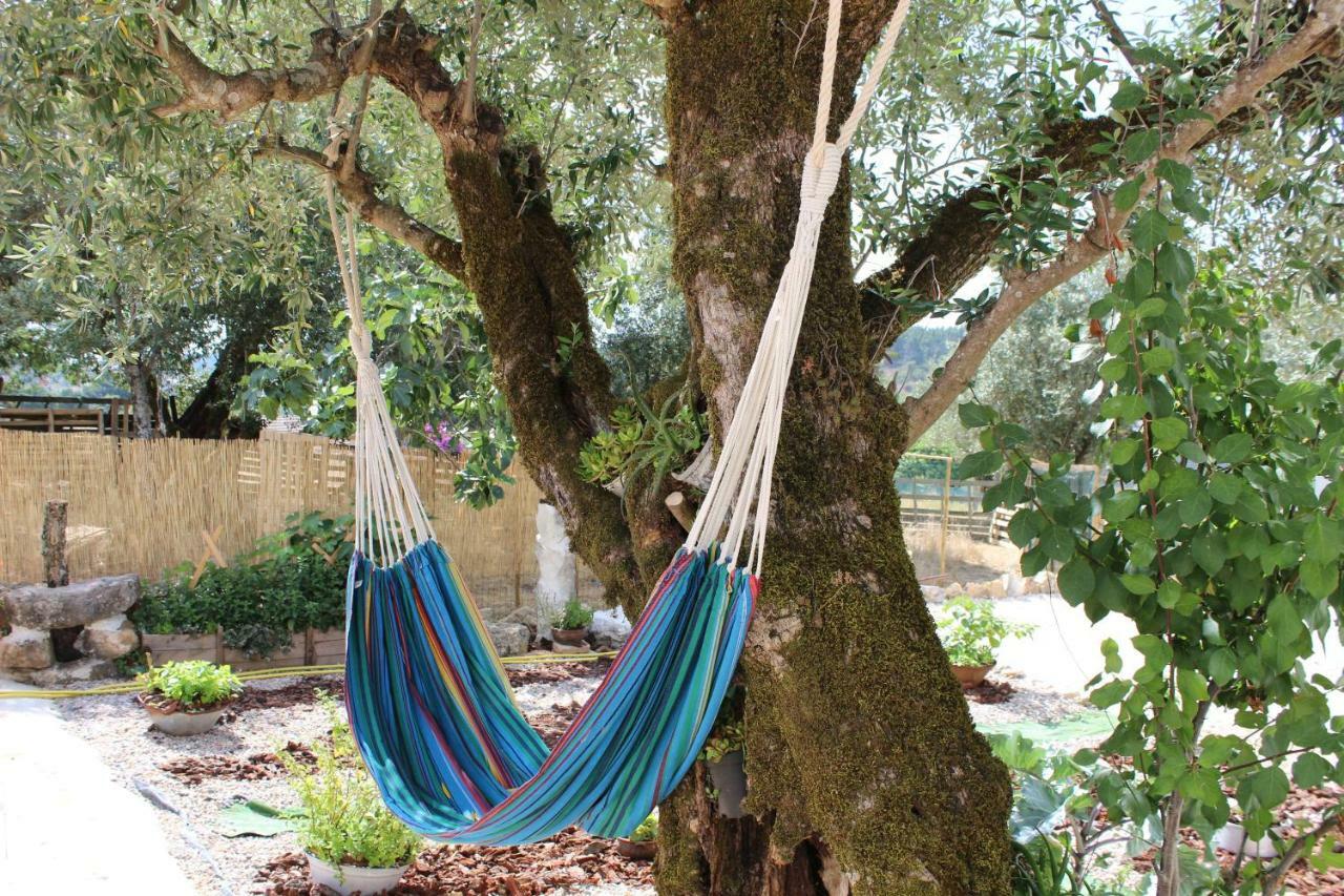 Turismo Rural Casa Da Ceu Amiais de Cima Ngoại thất bức ảnh