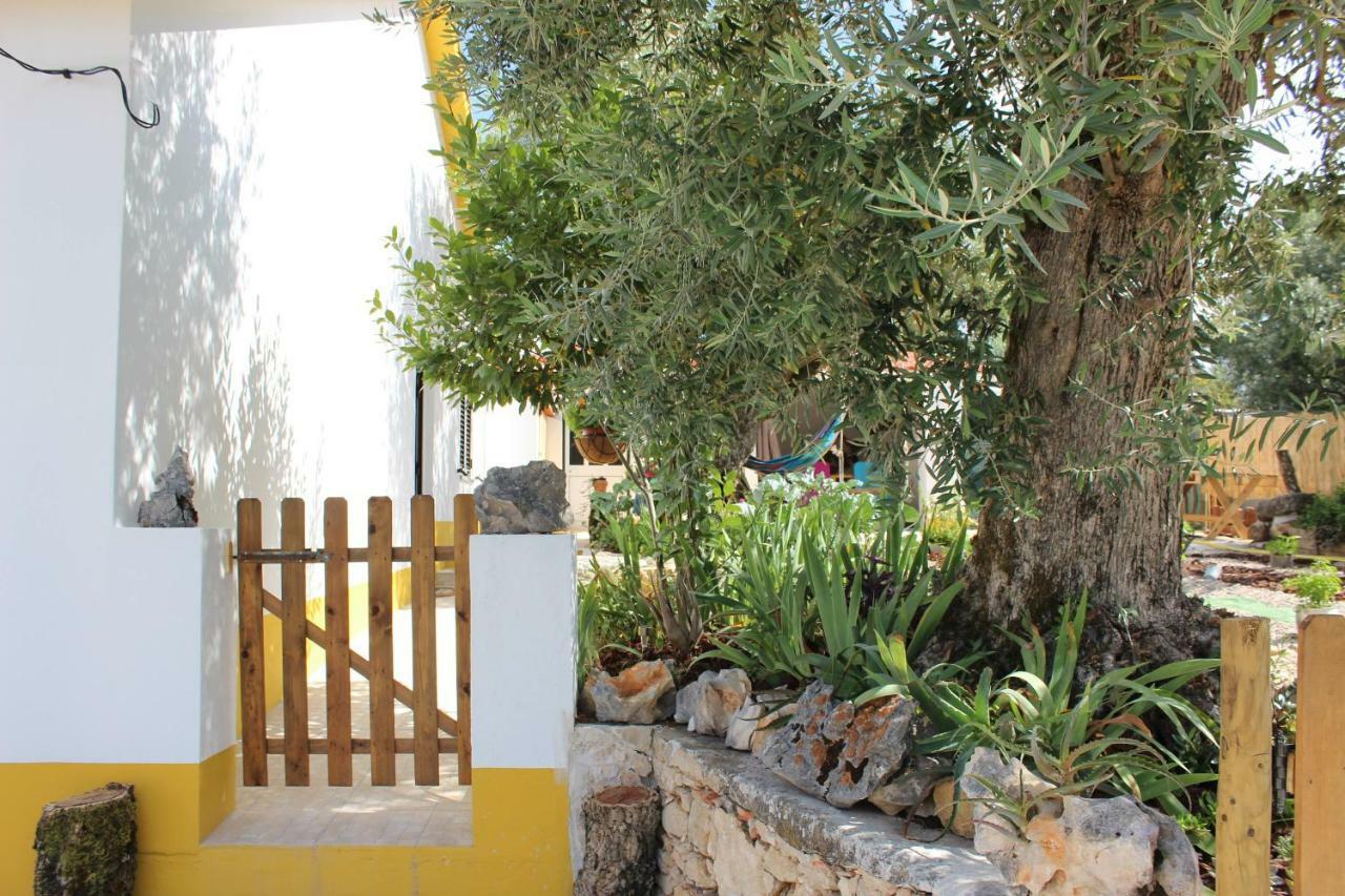 Turismo Rural Casa Da Ceu Amiais de Cima Ngoại thất bức ảnh