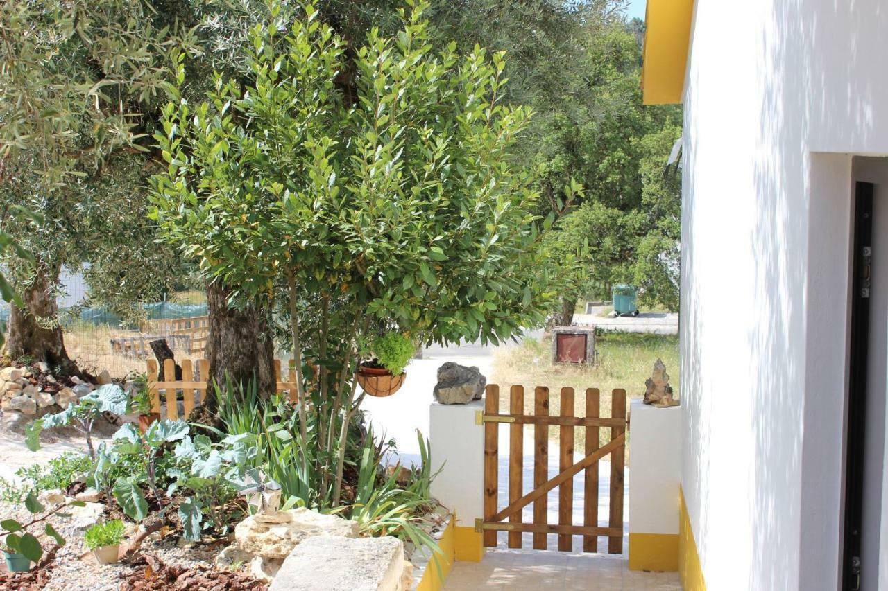 Turismo Rural Casa Da Ceu Amiais de Cima Ngoại thất bức ảnh